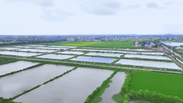 DƬ